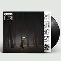 新品LP ギース　Geese 3D Country キャメロンウィンター 61KuHn54btL._UF894,1000_QL80_.jpg